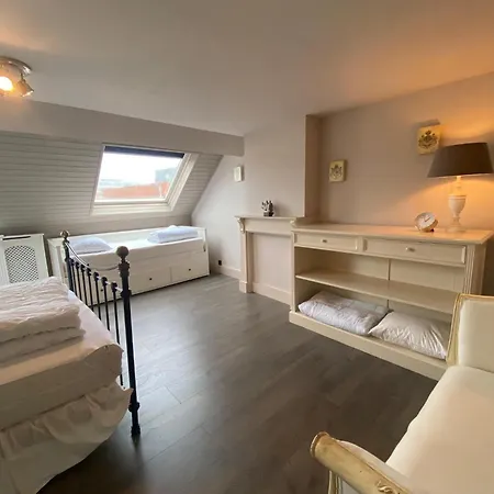 Ruim Herenhuis Met Grote Tuin Op 5min Zee - 6p *